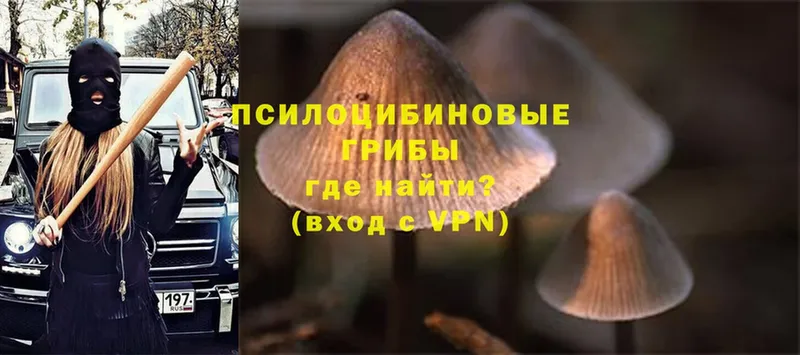 Псилоцибиновые грибы Psilocybine cubensis  купить наркотики сайты  Фролово 